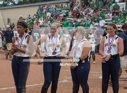 Thumbnail 1 in Cedar Cliff vs Donegal (PIAA 5A Final) photogallery.