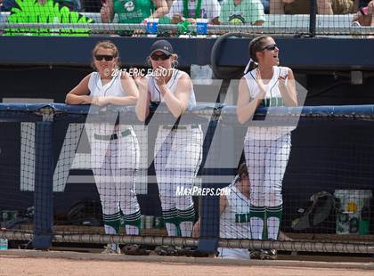 Thumbnail 1 in Cedar Cliff vs Donegal (PIAA 5A Final) photogallery.