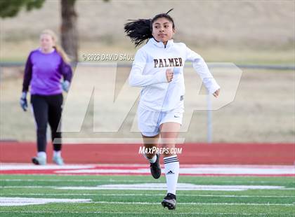 Thumbnail 2 in Palmer @ Sand Creek photogallery.