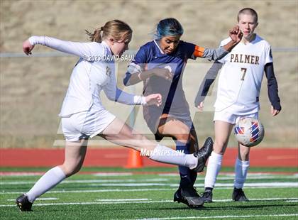 Thumbnail 3 in Palmer @ Sand Creek photogallery.