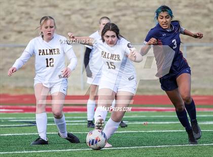 Thumbnail 3 in Palmer @ Sand Creek photogallery.