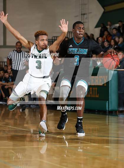 Thumbnail 3 in Sheldon @ Monterey Trail photogallery.