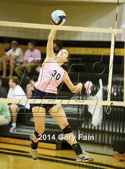 Thumbnail 1 in Hixson vs Soddy photogallery.
