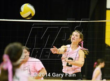 Thumbnail 1 in Hixson vs Soddy photogallery.