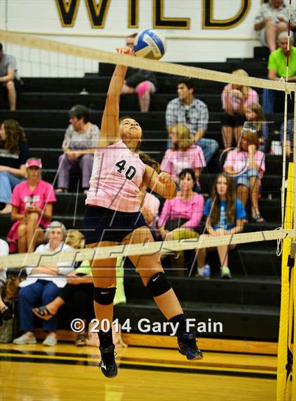 Thumbnail 1 in Hixson vs Soddy photogallery.