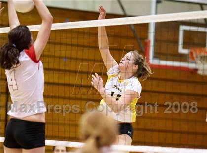 Thumbnail 2 in Gunn @ Mountain View photogallery.
