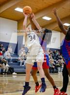 Photo from the gallery "Verbena @ Jemison"