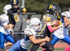 Photo from the gallery "Cloverdale @ Novato"