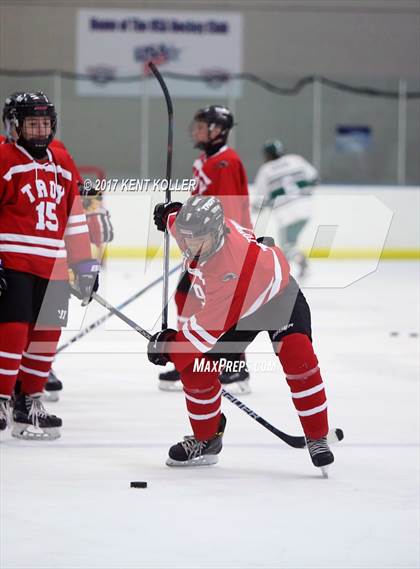 Thumbnail 1 in Troy @ Lake Orion photogallery.