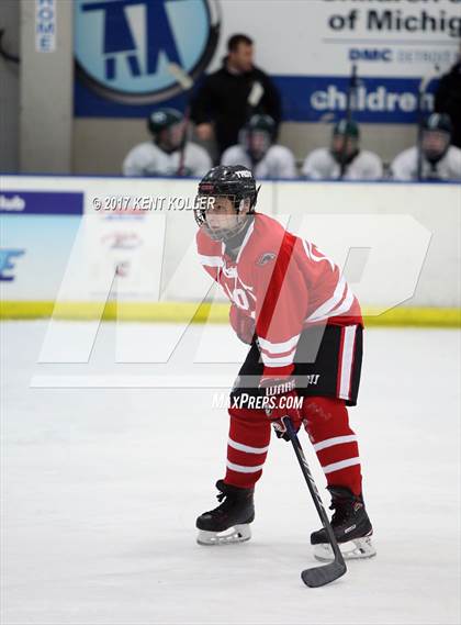 Thumbnail 3 in Troy @ Lake Orion photogallery.