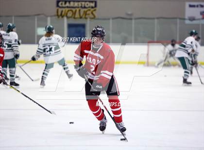 Thumbnail 3 in Troy @ Lake Orion photogallery.