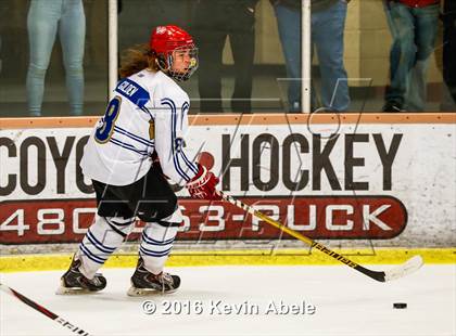 Thumbnail 2 in O'Connor vs. Desert Vista  photogallery.