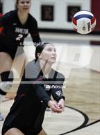 Photo from the gallery "Corona del Sol @ Hamilton"