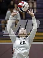 Photo from the gallery "Corona del Sol @ Hamilton"