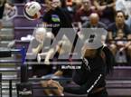 Photo from the gallery "Corona del Sol @ Hamilton"