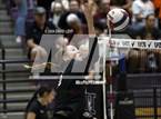 Photo from the gallery "Corona del Sol @ Hamilton"