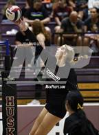 Photo from the gallery "Corona del Sol @ Hamilton"