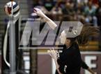 Photo from the gallery "Corona del Sol @ Hamilton"