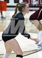 Photo from the gallery "Corona del Sol @ Hamilton"