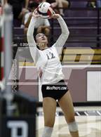 Photo from the gallery "Corona del Sol @ Hamilton"