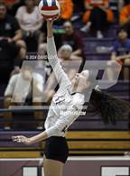 Photo from the gallery "Corona del Sol @ Hamilton"