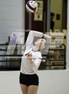 Photo from the gallery "Corona del Sol @ Hamilton"