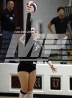 Photo from the gallery "Corona del Sol @ Hamilton"