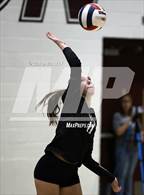 Photo from the gallery "Corona del Sol @ Hamilton"