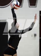 Photo from the gallery "Corona del Sol @ Hamilton"