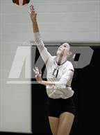 Photo from the gallery "Corona del Sol @ Hamilton"