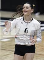 Photo from the gallery "Corona del Sol @ Hamilton"