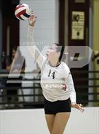 Photo from the gallery "Corona del Sol @ Hamilton"