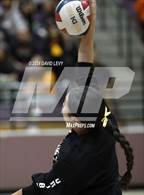 Photo from the gallery "Corona del Sol @ Hamilton"