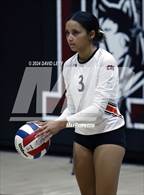 Photo from the gallery "Corona del Sol @ Hamilton"