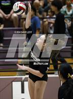 Photo from the gallery "Corona del Sol @ Hamilton"