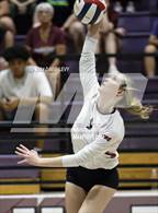 Photo from the gallery "Corona del Sol @ Hamilton"