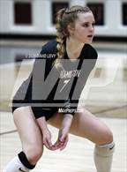Photo from the gallery "Corona del Sol @ Hamilton"
