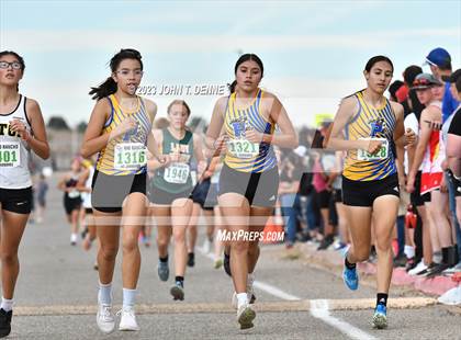 Thumbnail 1 in Rio Rancho Jamboree Varsity Division photogallery.