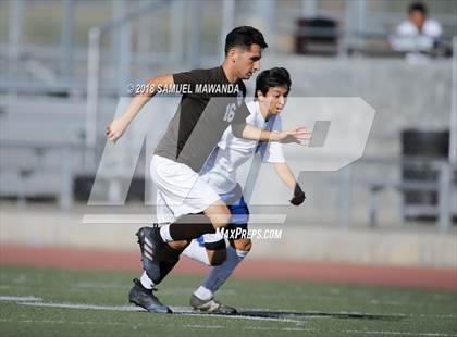 Thumbnail 3 in Kennedy vs. Poly photogallery.