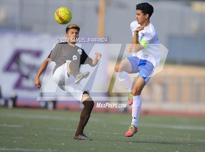 Thumbnail 3 in Kennedy vs. Poly photogallery.