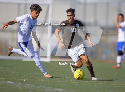 Thumbnail 1 in Kennedy vs. Poly photogallery.