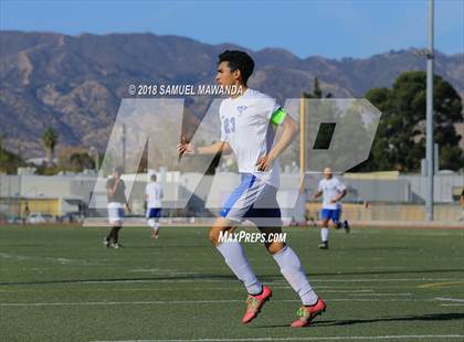 Thumbnail 3 in Kennedy vs. Poly photogallery.