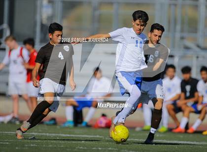 Thumbnail 2 in Kennedy vs. Poly photogallery.