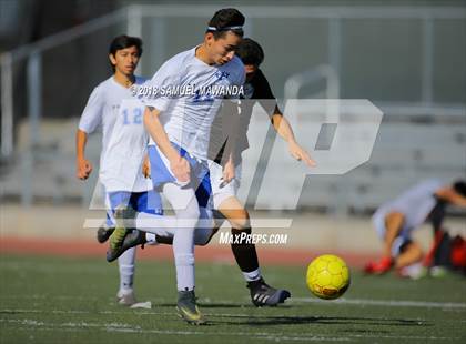 Thumbnail 2 in Kennedy vs. Poly photogallery.