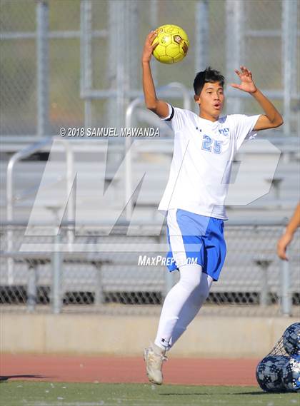 Thumbnail 3 in Kennedy vs. Poly photogallery.