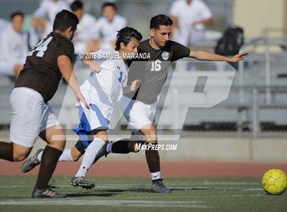 Thumbnail 3 in Kennedy vs. Poly photogallery.