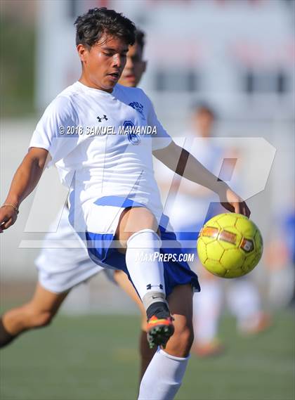 Thumbnail 1 in Kennedy vs. Poly photogallery.