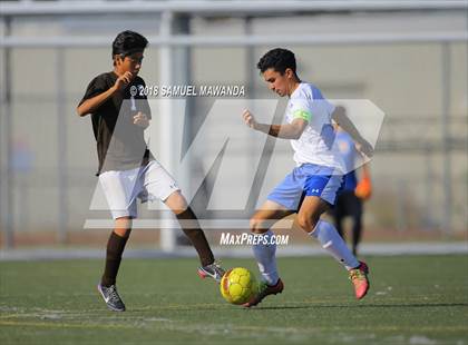 Thumbnail 3 in Kennedy vs. Poly photogallery.