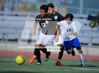 Thumbnail 3 in Kennedy vs. Poly photogallery.