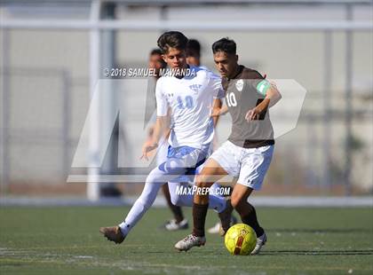 Thumbnail 1 in Kennedy vs. Poly photogallery.